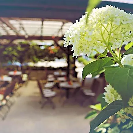 Hotel Landhotel Krausnick